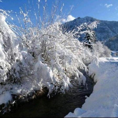 Ferienwohnung Anastasia Inzell Dış mekan fotoğraf