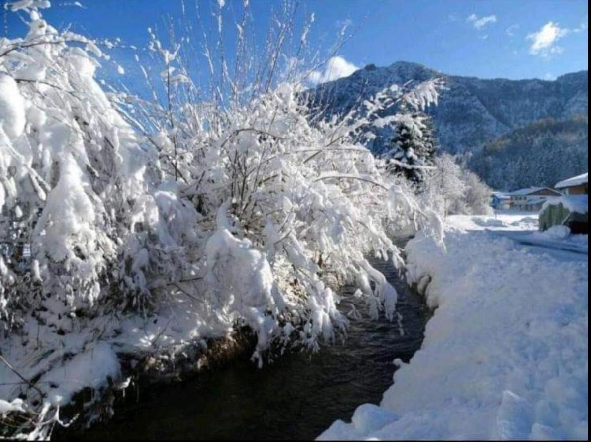 Ferienwohnung Anastasia Inzell Dış mekan fotoğraf